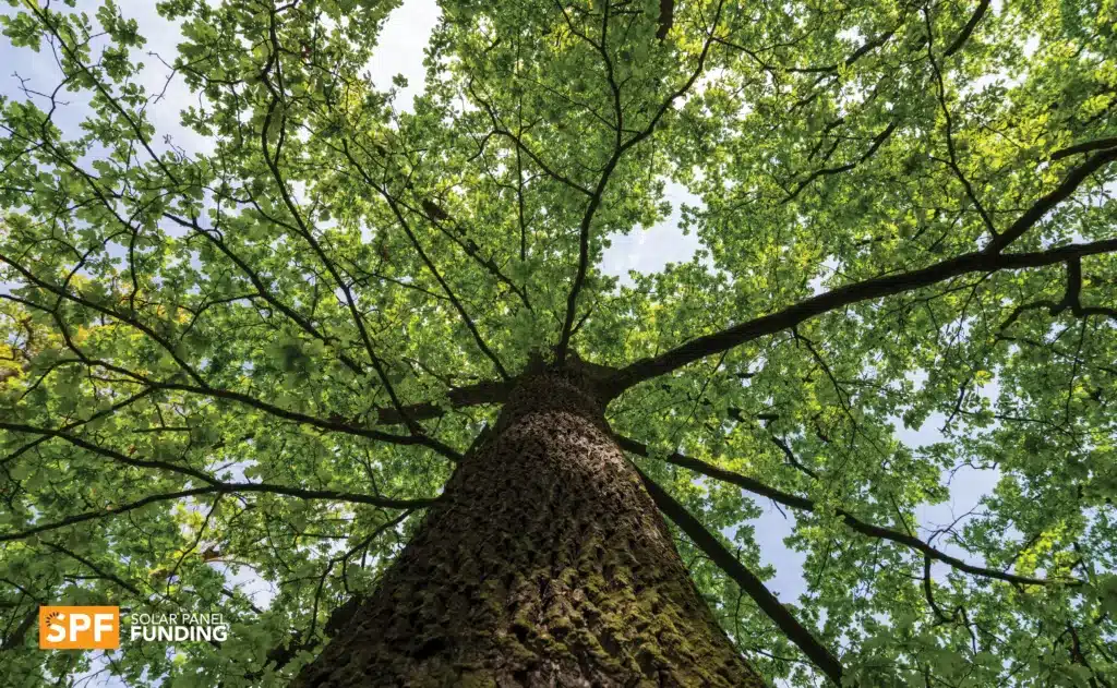 Eco-Friendly New Year’s Resolutions That Save Money 7 Get to know nature